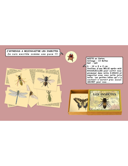 JEU J’APPRENDS A RECONNAITRE LES INSECTES