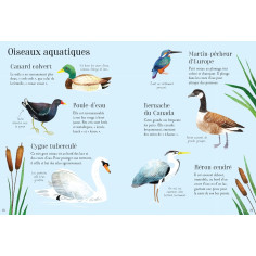 MON PETIT GUIDE DE LA NATURE 2