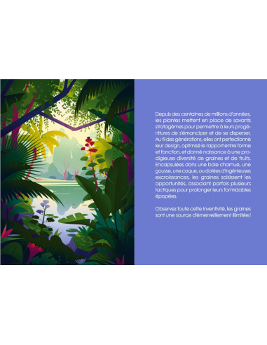 L'ODYSSÉE DES GRAINES