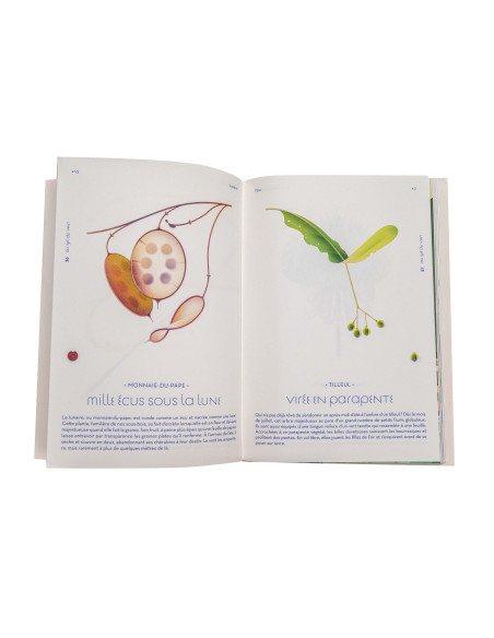 L'ODYSSÉE DES GRAINES