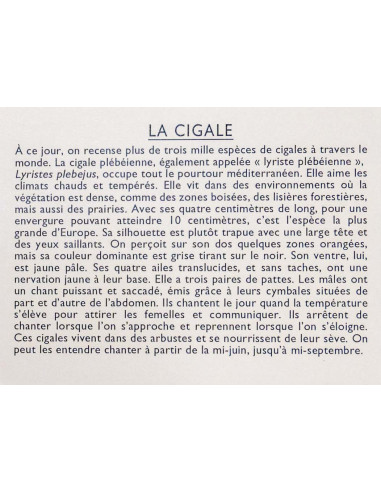 JEU J’APPRENDS A RECONNAITRE LES INSECTES