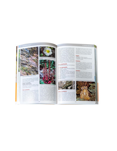 Guide naturaliste Causses Cévennes