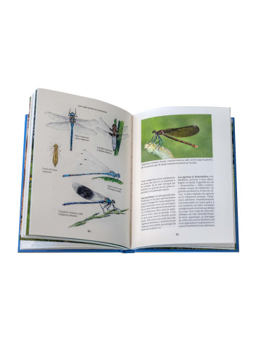 CREER UNE MARE, un point d'eau, une baignade naturelle