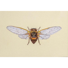 JEU J’APPRENDS A RECONNAITRE LES INSECTES 2
