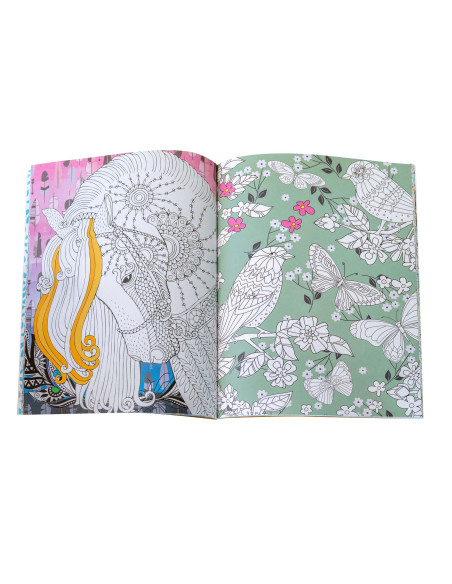 COLORIAGE ZEN JARDIN MAGIQUE