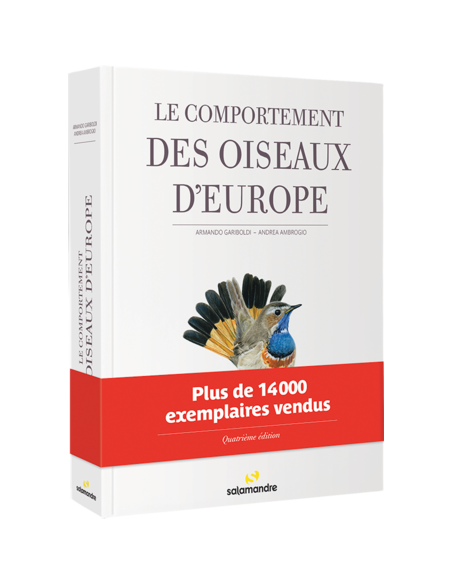 Tout savoir sur le comportement des oiseaux d'Europe