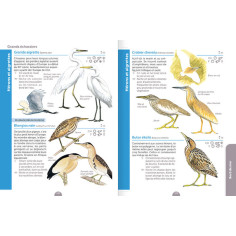 guide pour découvrir les rivières, étangs, bords de mer 2