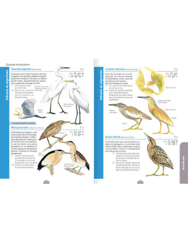 guide pour découvrir les rivières, étangs, bords de mer