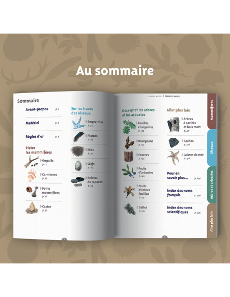 reconnaitre les traces et les indices dans la nature