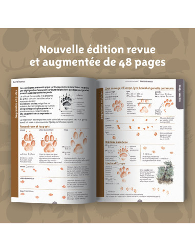 reconnaitre les traces et les indices dans la nature