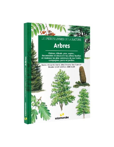 découvrir les arbres découvrir les arbres