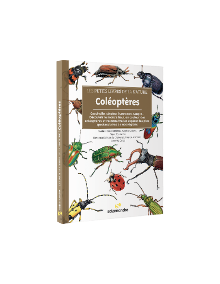 tout savoir sur les coléoptères