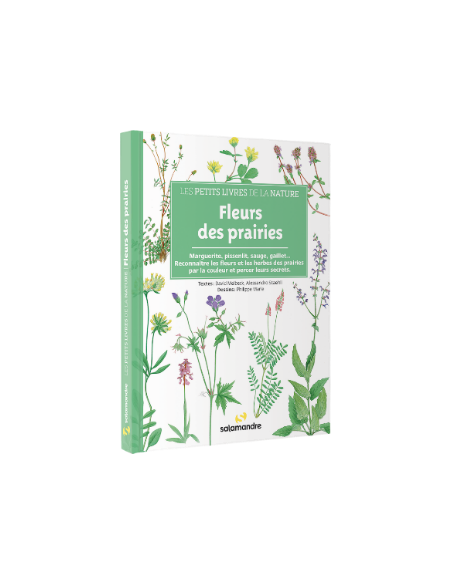 guide des fleurs des prairies