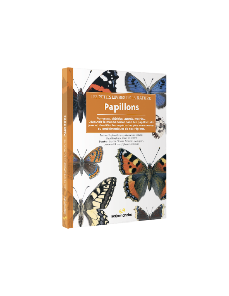 mini guide de découverte des papillons