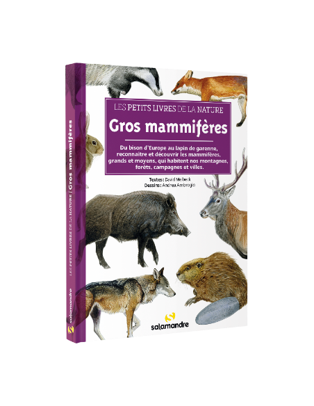 mammifères de nos régions