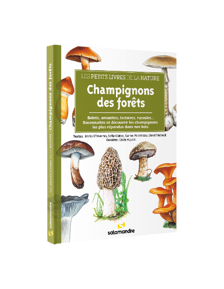 guide de champignons des forêts