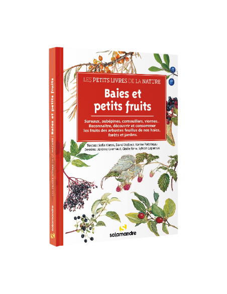 petits fruits et baies de la nature