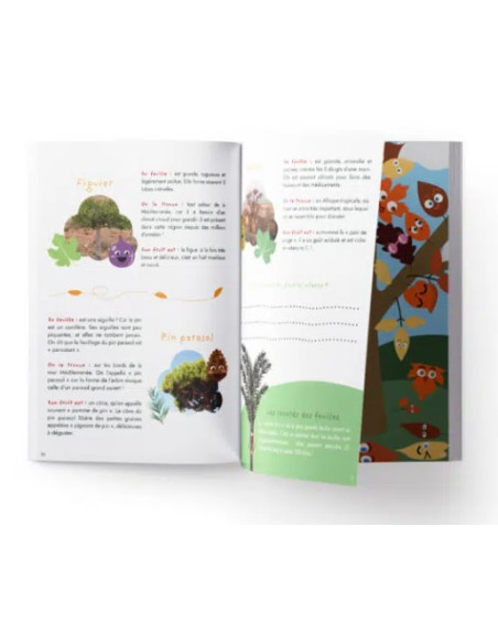 cahier d'activités et découvertes sur les feuilles