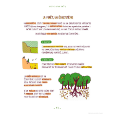 comment protéger les forêts ? 2