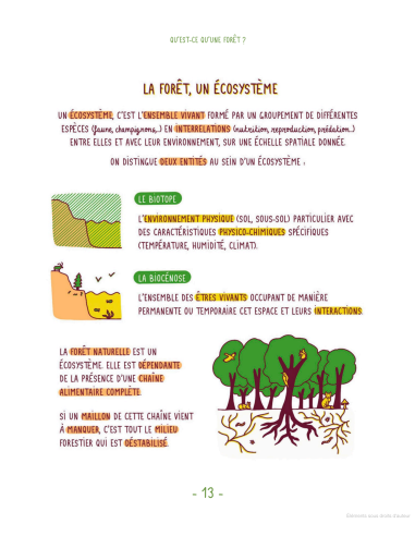 comment protéger les forêts ?