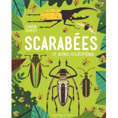 SCARABEE ET AUTRES COLEOPTERES