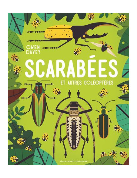 SCARABEE ET AUTRES COLEOPTERES