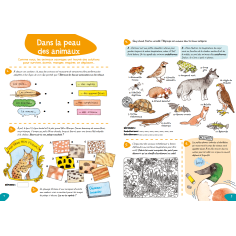 cahier d'activités sur la piste des animaux... 2