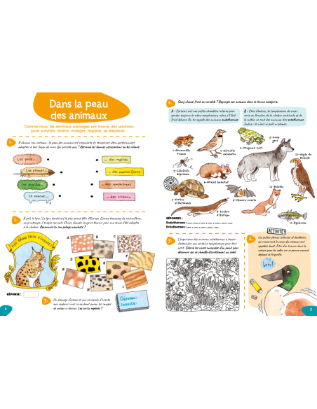 cahier d'activités sur la piste des animaux...