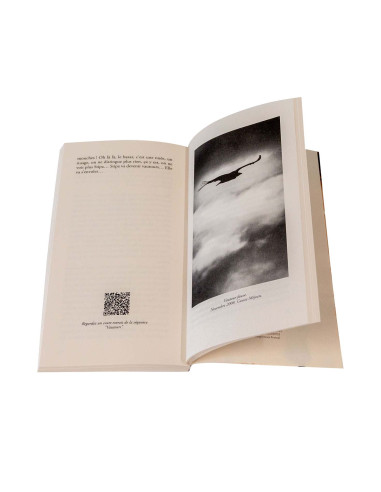 EN ATTENDANT LES VAUTOURS