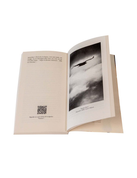 EN ATTENDANT LES VAUTOURS