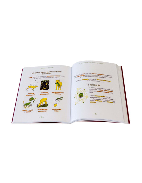 comment protéger les forêts ?