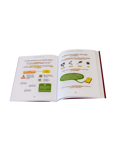 comment protéger les forêts ?