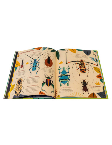 SCARABEE ET AUTRES COLEOPTERES