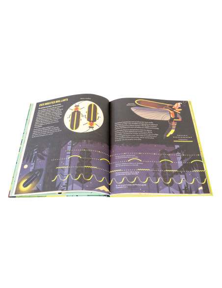 SCARABEE ET AUTRES COLEOPTERES