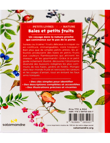 petits fruits et baies de la nature