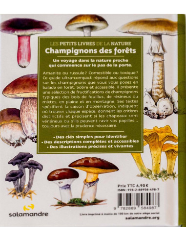 guide de champignons des forêts