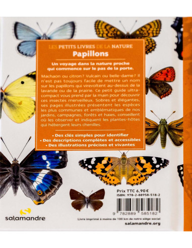 mini guide de découverte des papillons