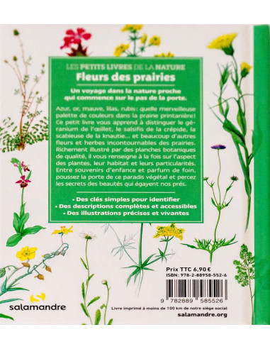 guide des fleurs des prairies