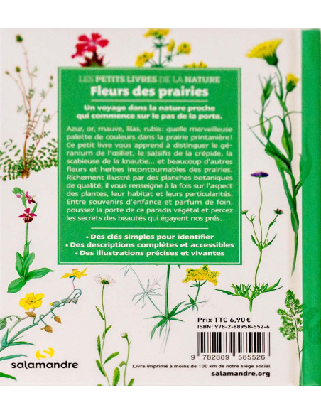 guide des fleurs des prairies