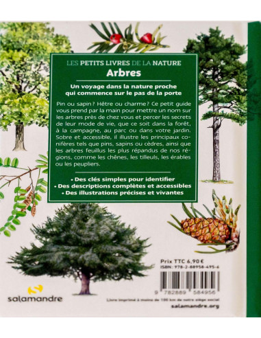 découvrir les arbres