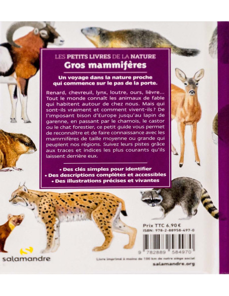 mammifères de nos régions