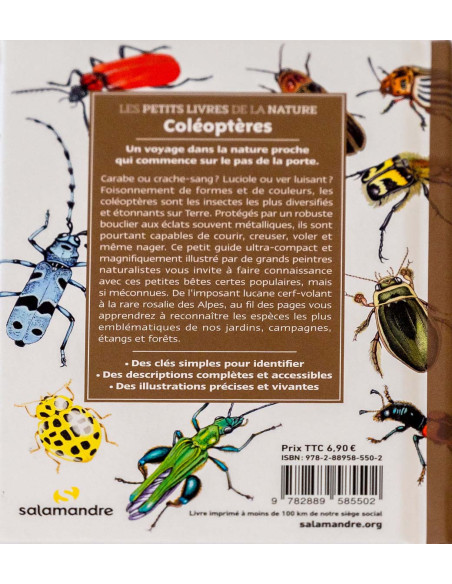 tout savoir sur les coléoptères