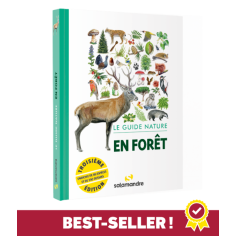 GUIDE NATURE EN FORET