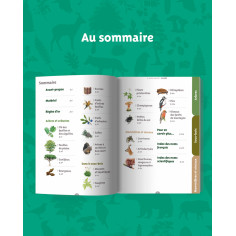 GUIDE NATURE EN FORET 2
