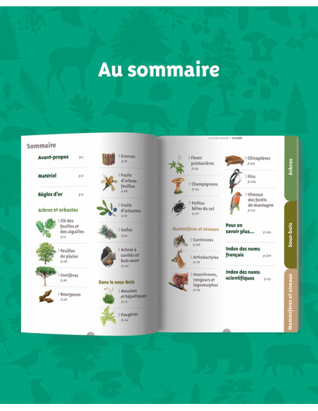 GUIDE NATURE EN FORET