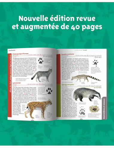 GUIDE NATURE EN FORET