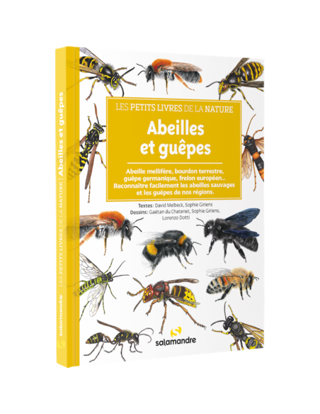 ABEILLES ET GUEPES - PETITS LIVRES NATURE