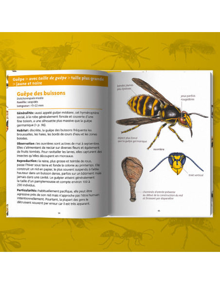 ABEILLES ET GUEPES - PETITS LIVRES NATURE