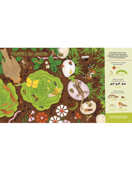 CHERCHE ET TROUVE DE LA PETITE SALAMANDRE