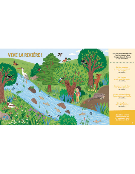 CHERCHE ET TROUVE DE LA PETITE SALAMANDRE